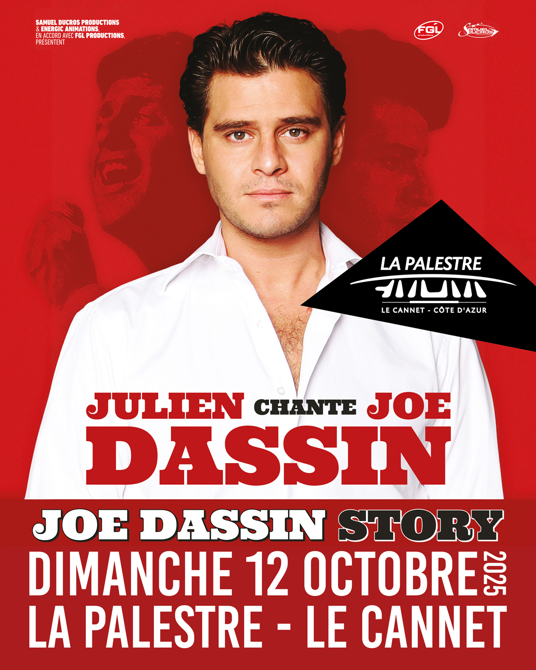 Joe Dassin Story by Julien Dassin