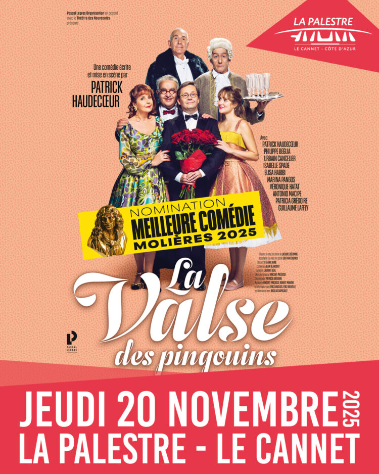 LA VALSE DES PINGOUINS