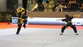 Championnat Wushu